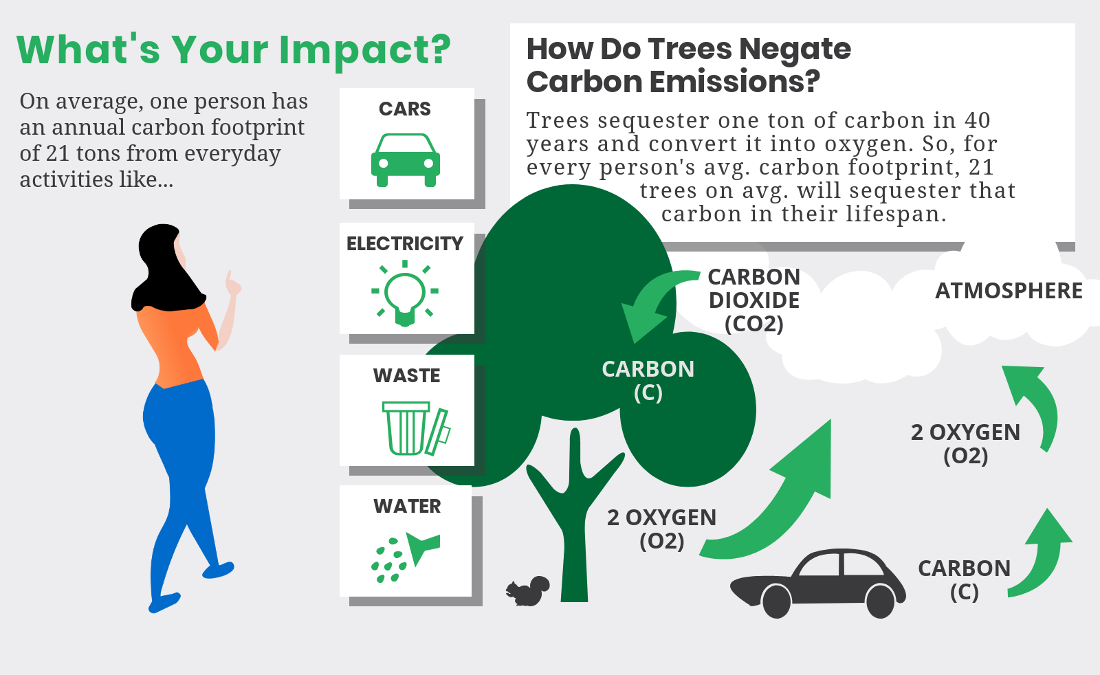 Image for Why plant trees?