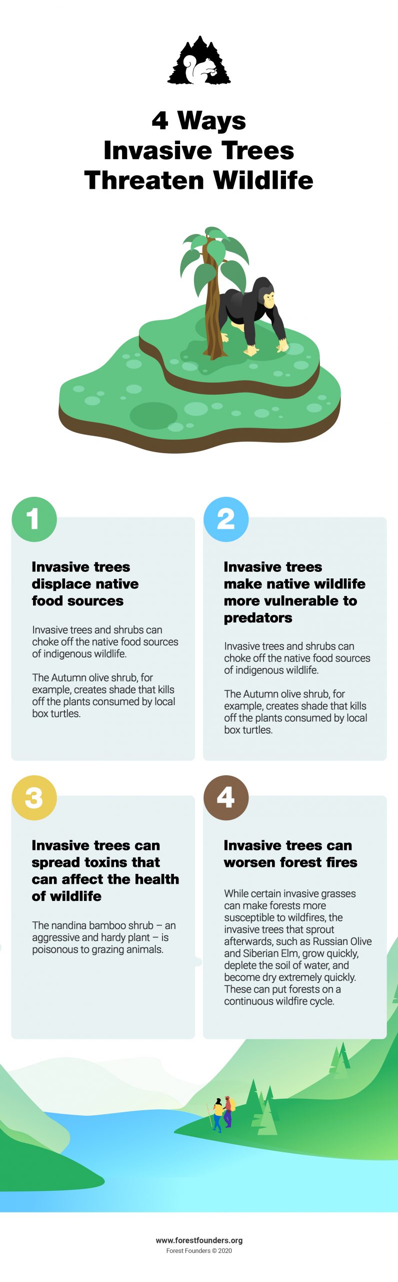 Image for Invasive Tree Species: How Invasive Trees and Plant Species Threaten Native Forests