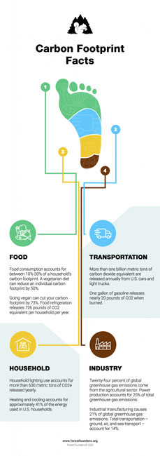 Image for WHAT IS A CARBON FOOTPRINT? HOW YOU CAN REDUCE YOUR ENVIRONMENTAL IMPACT