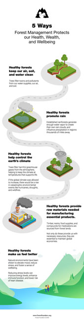Image for FOREST MANAGEMENT: THE IMPORTANCE OF PROTECTING OUR FORESTS