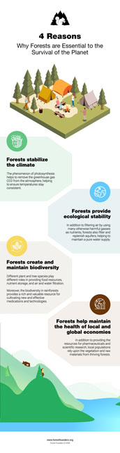 Image for THE FOREST BIOME – TYPES OF FORESTS