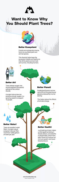 Image for WHY PLANT TREES?