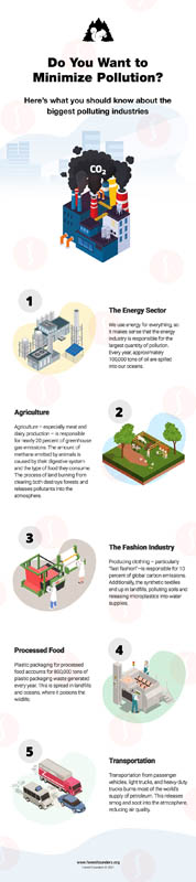 Image for HOW YOU CAN MINIMIZE POLLUTION