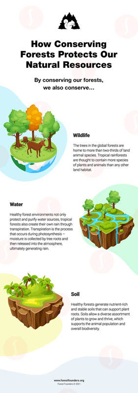 Image for HOW TO CONSERVE NATURAL RESOURCES